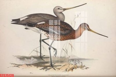 File gốc Tranh sơn dầu phương tây tổng hợp STS75129 (in lụa) tranh phong thủy