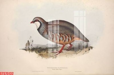 File gốc Tranh sơn dầu phương tây tổng hợp STS75132 (in 3D) cho trang trí