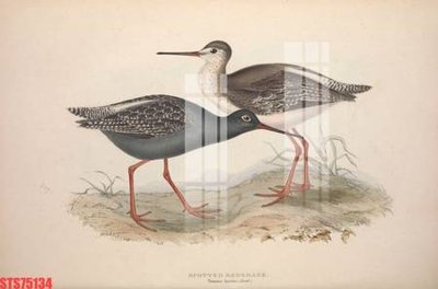 File gốc Tranh sơn dầu phương tây tổng hợp STS75134 (in mica) trang trí