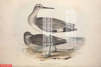 File in ấn Tranh sơn dầu phương tây tổng hợp STS75136 (bản gốc) từ file gốc