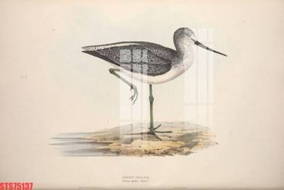 File ảnh Tranh sơn dầu phương tây tổng hợp STS75137 (gốc) in backdrop sự kiện