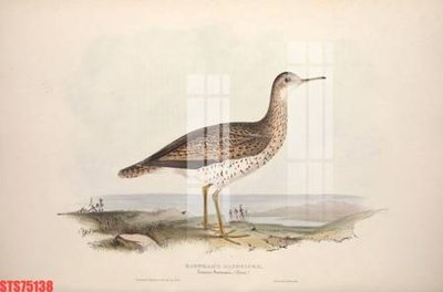 File in lụa Tranh sơn dầu phương tây tổng hợp STS75138 (phong cảnh) Tranh sơn dầu phương tây tổng hợp STS75138