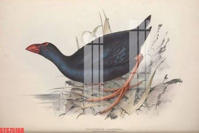 File gốc Tranh sơn dầu phương tây tổng hợp STS75168 (AI/EPS) cho in ấn