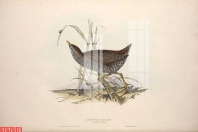 Tải file gốc Tranh sơn dầu phương tây tổng hợp STS75171 (in tráng gương) siêu đẹpFile tranh gốc Tranh sơn dầu phương tây tổng hợp STS75171 chất lượng cao