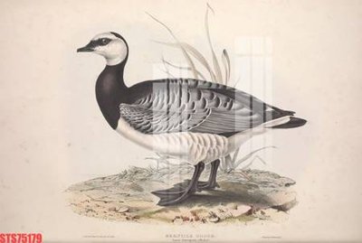 Tải file gốc Tranh sơn dầu phương tây tổng hợp STS75179 dùng cho in ấn