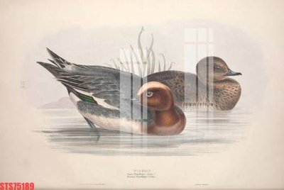 File gốc Tranh sơn dầu phương tây tổng hợp STS75189 (ảnh chi tiết) để in ấn