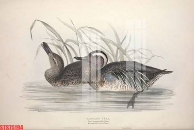 Tải file gốc Tranh sơn dầu phương tây tổng hợp STS75194 (in bạt) quảng cáo