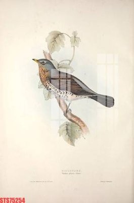 File ảnh Tranh sơn dầu phương tây tổng hợp STS75254 (gốc) in PP, decal