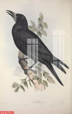 Mua file gốc Tranh sơn dầu phương tây tổng hợp STS75260 (chất lượng) tại Filetranh.com