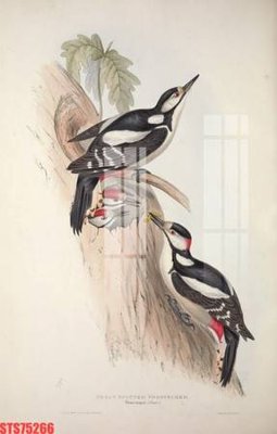 Hình ảnh gốc Tranh sơn dầu phương tây tổng hợp STS75266 (để in khổ lớn)