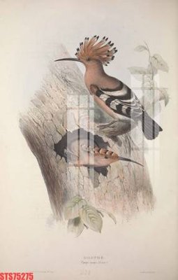 Hình ảnh file gốc Tranh sơn dầu phương tây tổng hợp STS75275 cho in UV