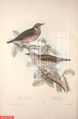 File gốc Tranh sơn dầu phương tây tổng hợp STS75276 (AI/EPS) cho in ấn