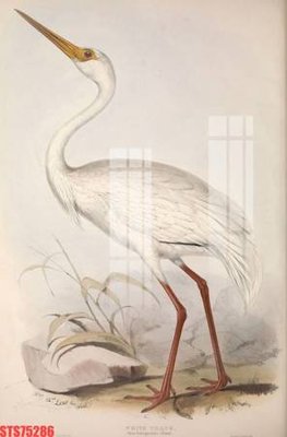 File PSD Tranh sơn dầu phương tây tổng hợp STS75286 (gốc) cho designer