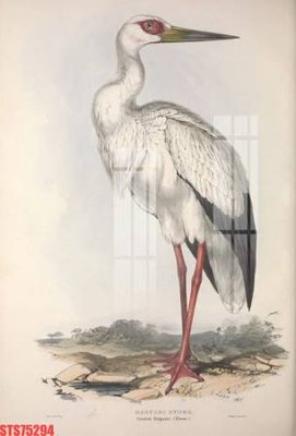 Tải file Tranh sơn dầu phương tây tổng hợp STS75294 (gốc) chủ đề hoa sen