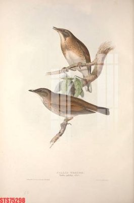 File in mica Tranh sơn dầu phương tây tổng hợp STS75298 (ảnh gốc) đẹp