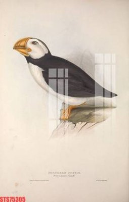 File gốc Tranh sơn dầu phương tây tổng hợp STS75305 (PSD/TIFF) độ phân giải cao