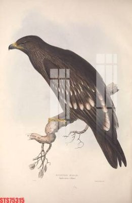 Download file tranh Tranh sơn dầu phương tây tổng hợp STS75315 (file gốc PSD)