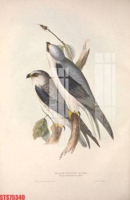 Tải file gốc Tranh sơn dầu phương tây tổng hợp STS75340 (bản PSD) chỉnh sửa được