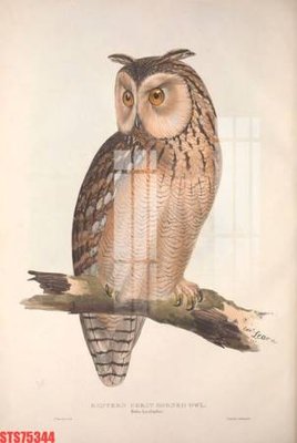 File gốc Tranh sơn dầu phương tây tổng hợp STS75344 (chủ đề hiện đại) trang trí