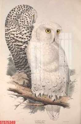 File gốc Tranh sơn dầu phương tây tổng hợp STS75349 (AI/EPS) cho in ấn