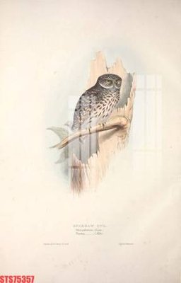 File in mica Tranh sơn dầu phương tây tổng hợp STS75357 (bản gốc) siêu trong