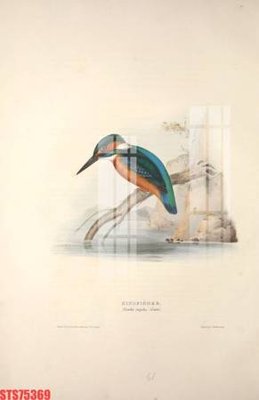 Tải file Tranh sơn dầu phương tây tổng hợp STS75369 (gốc) in trên mọi chất liệu