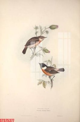 File gốc Tranh sơn dầu phương tây tổng hợp STS75377 (in mica) làm bảng hiệu