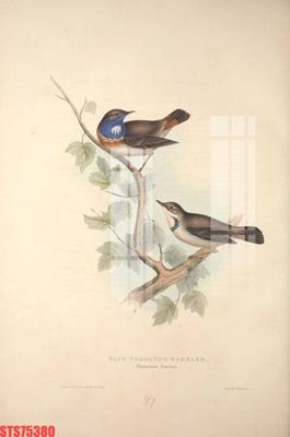 File ảnh Tranh sơn dầu phương tây tổng hợp STS75380 (gốc) trang trí khách sạn