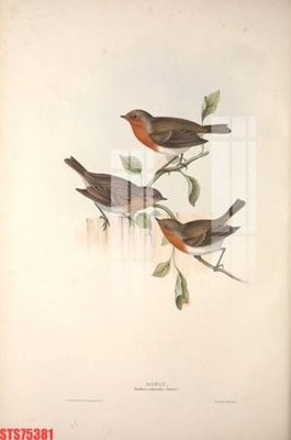 File gốc Tranh sơn dầu phương tây tổng hợp STS75381 (in 3D) nghệ thuật