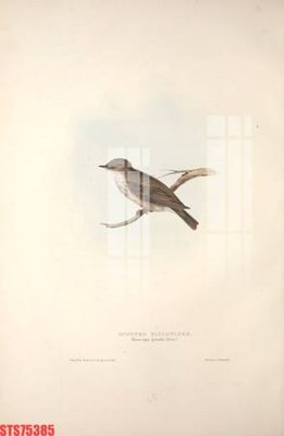 File ảnh Tranh sơn dầu phương tây tổng hợp STS75385 (gốc) in backdrop sự kiện