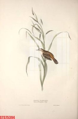 Ảnh gốc file in lụa Tranh sơn dầu phương tây tổng hợp STS75394 chi tiết