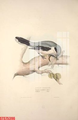 File gốc Tranh sơn dầu phương tây tổng hợp STS75396 (in mica) trang trí