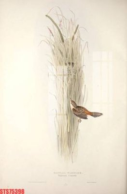 File ảnh Tranh sơn dầu phương tây tổng hợp STS75398 (gốc) in poster