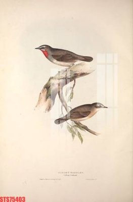 Tải file Tranh sơn dầu phương tây tổng hợp STS75403 (gốc) chủ đề tâm linh