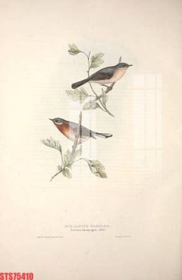 Tải file Tranh sơn dầu phương tây tổng hợp STS75410 (gốc) in tranh tráng gương