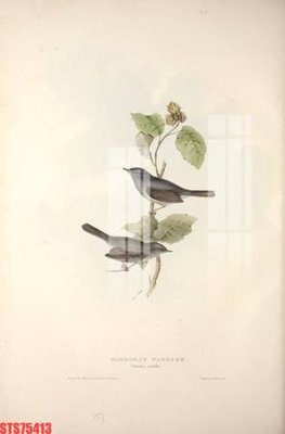 File ảnh Tranh sơn dầu phương tây tổng hợp STS75413 (gốc) in decal dán tường