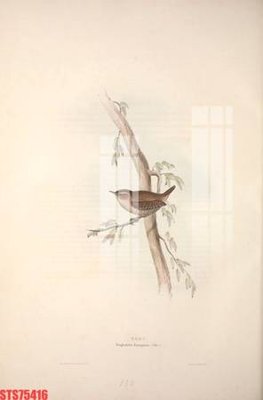 File in mica Tranh sơn dầu phương tây tổng hợp STS75416 (bản gốc) sắc sảo