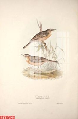 File gốc Tranh sơn dầu phương tây tổng hợp STS75423 (PNG) chất lượng cao