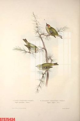 File ảnh Tranh sơn dầu phương tây tổng hợp STS75434 (gốc) in Hiflex