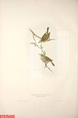 Hình ảnh file gốc Tranh sơn dầu phương tây tổng hợp STS75435 (chất lượng cao)