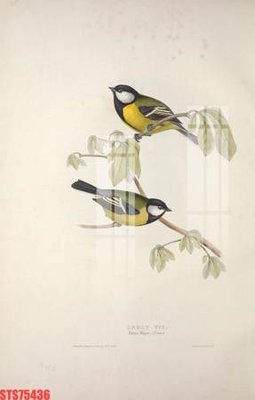 Tải file Tranh sơn dầu phương tây tổng hợp STS75436 (gốc) in nhanh