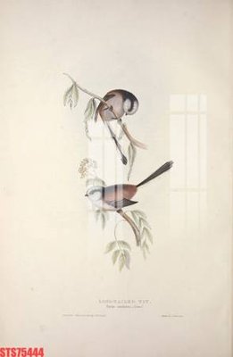 Tải file tranh gốc Tranh sơn dầu phương tây tổng hợp STS75444 chất lượng cao