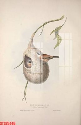 Download file gốc Tranh sơn dầu phương tây tổng hợp STS75446 (in mica) trang trí