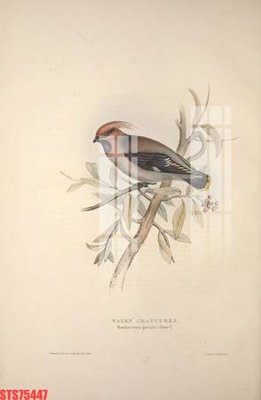 File gốc Tranh sơn dầu phương tây tổng hợp STS75447 (in tráng gương) sang trọng