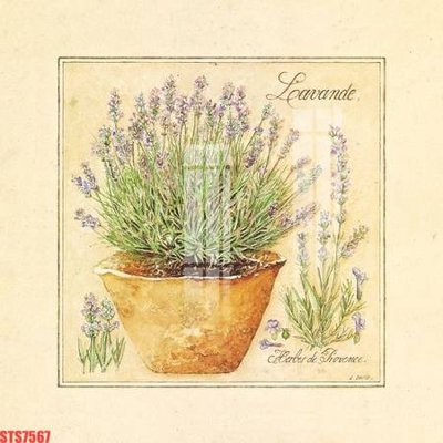 File tranh Tranh sơn dầu phương tây tổng hợp STS7567 (bản gốc) treo phòng ăn