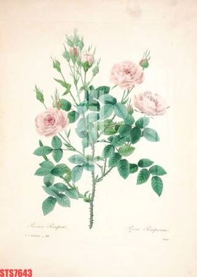 File in trần Tranh sơn dầu phương tây tổng hợp STS7643 (bản gốc) 5D