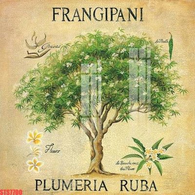 File gốc Tranh sơn dầu phương tây tổng hợp STS7700 (in lụa) hoa văn cổ điển