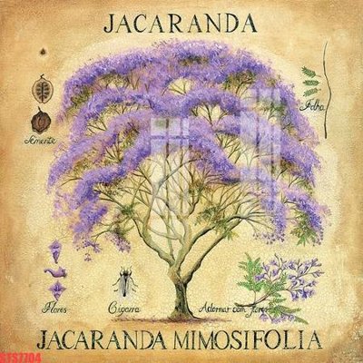 Tải file Tranh sơn dầu phương tây tổng hợp STS7704 (gốc) in ấn chất lượng