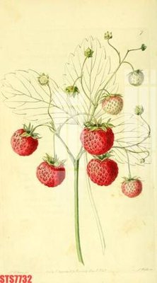 Mua file gốc Tranh sơn dầu phương tây tổng hợp STS7732 (in ấn) tại Filetranh.com