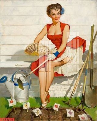 Tải file Tranh sơn dầu phương tây tổng hợp STS77703 (PSD) cho in ấn quảng cáo